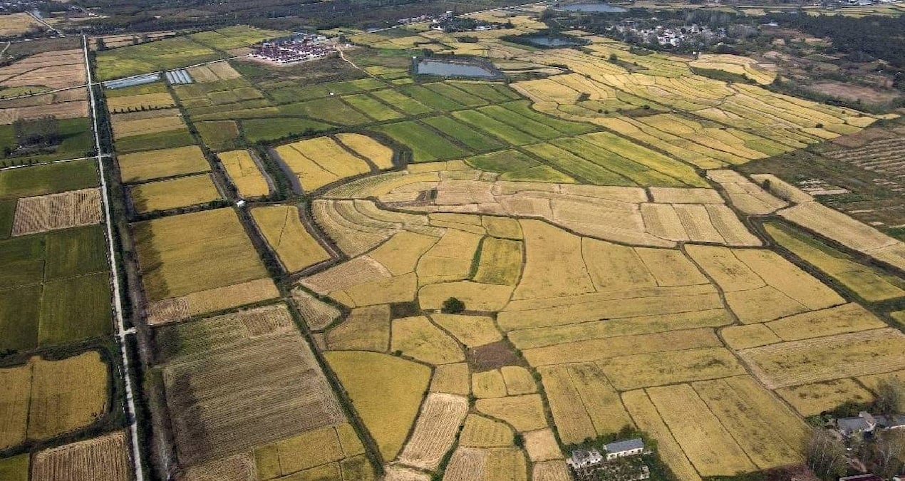 arsa alacaklar olanlar dikkat yargitaydan emsal karar yVm5GGUy