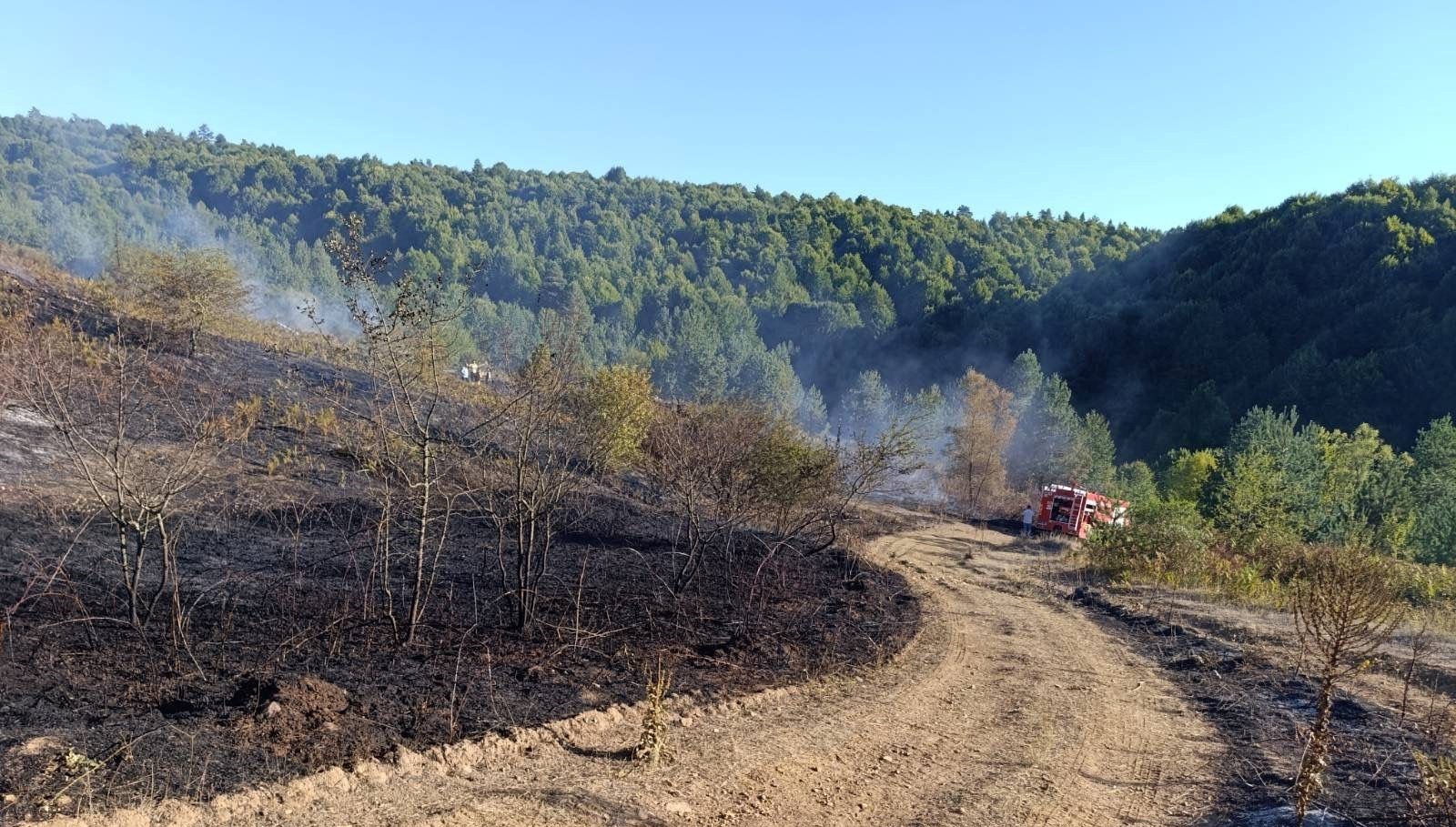 bilecik pazaryeri yangini buyumeden sonduruldu ZDTIYhZD