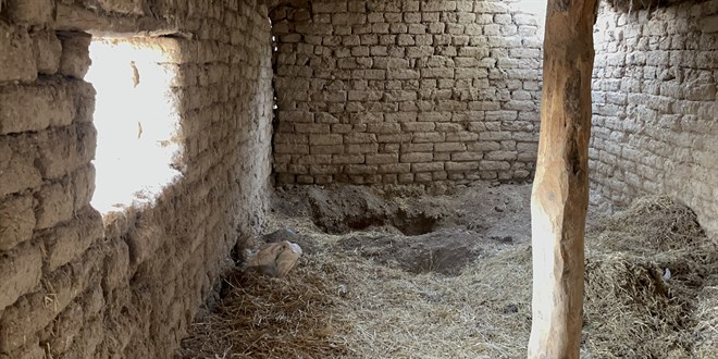 14 yillik kayip cinayet cozuldu kardesi oldurup gommus f45YMcf7.jpg