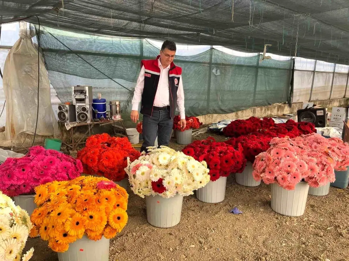 tekirdag il muduru ciftcileri ziyaret etti 2KmAMwi1.jpg