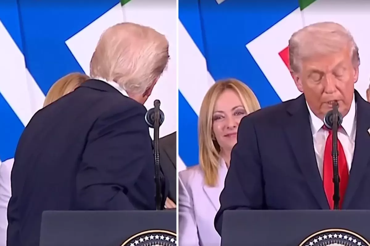 trumptan meloniye senin guzel oldugunu soylememe alinmazsin degil mi cJ3OBz7I.jpg