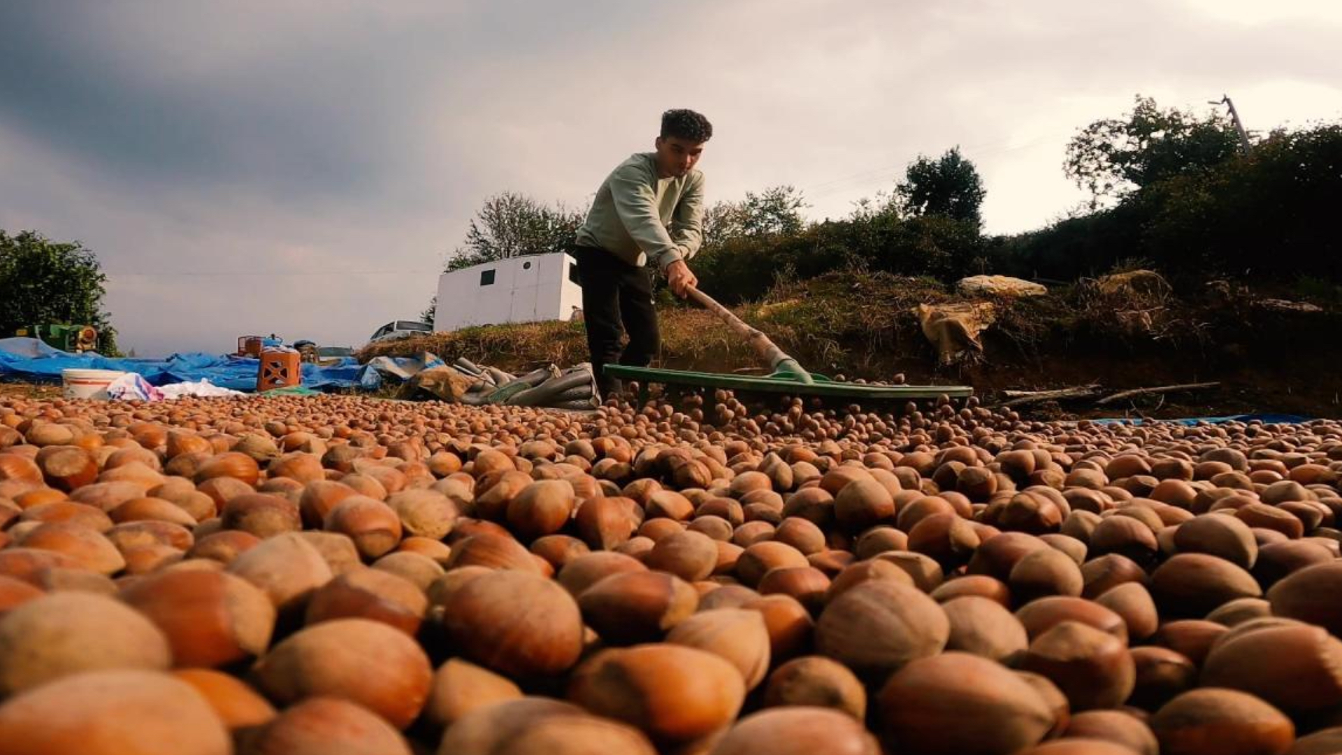 turkiye findik ihracatindan 9 ayda 16 milyar dolari askin gelir sagladi buCzTgie.jpg
