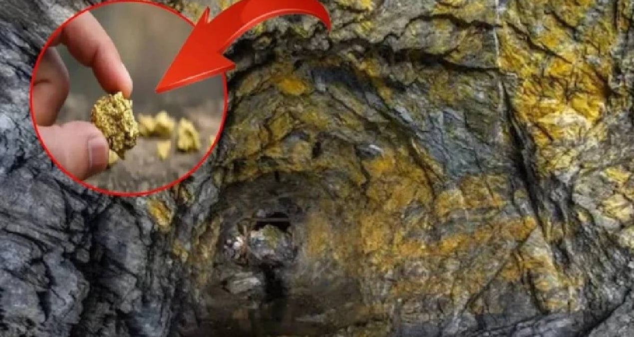 dunyanin en derin 10 altin madeni yerin altina iniyorlar kulce kulce altin cikariyorlar hVt4hPEr.jpg