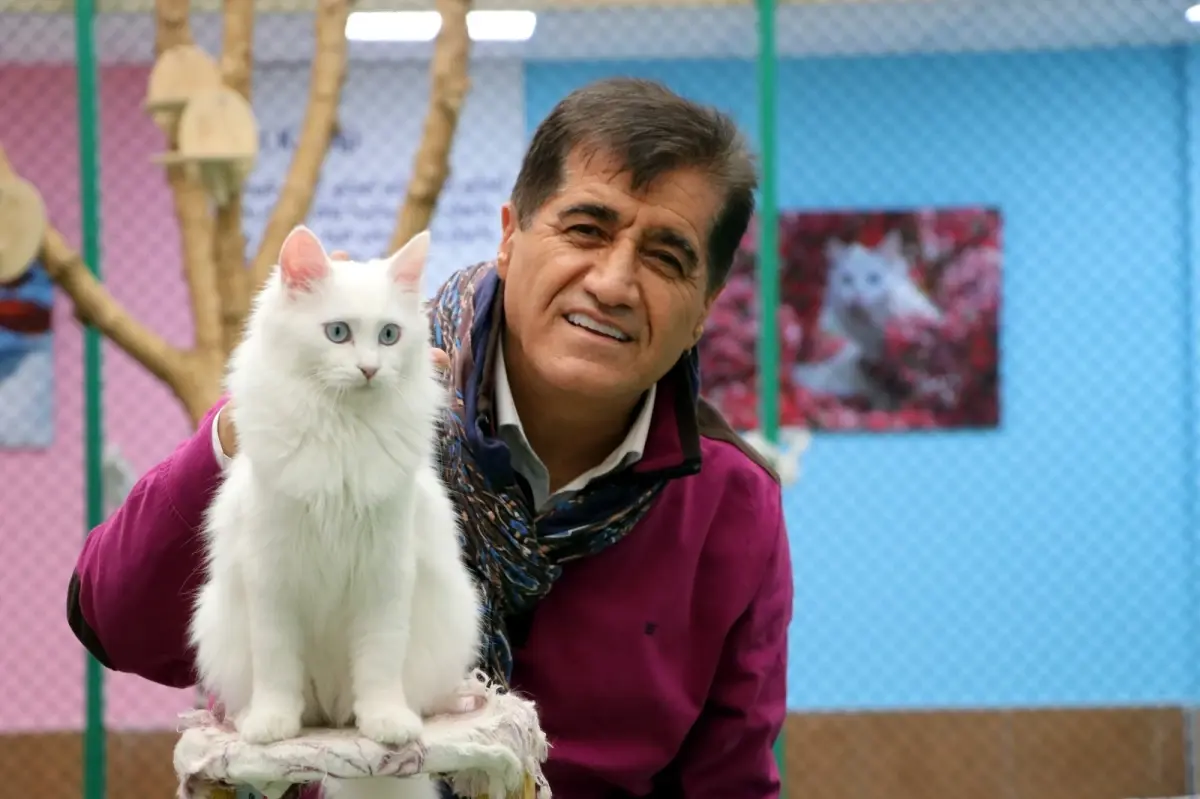 sanatci aydin aydin nesli tukenmekte olan van kedisiyle duet yapti iBacZ5YJ.jpg