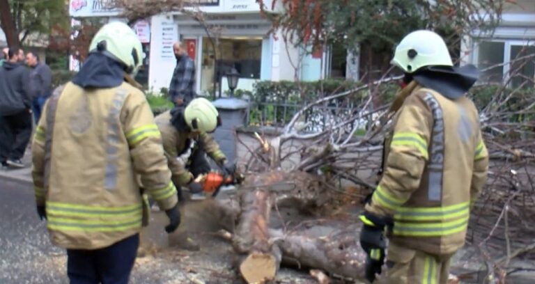 kadikoyde-seyir-halindeki-cipin-uzerine-agac-devrildi-e3TJpzVI.jpg