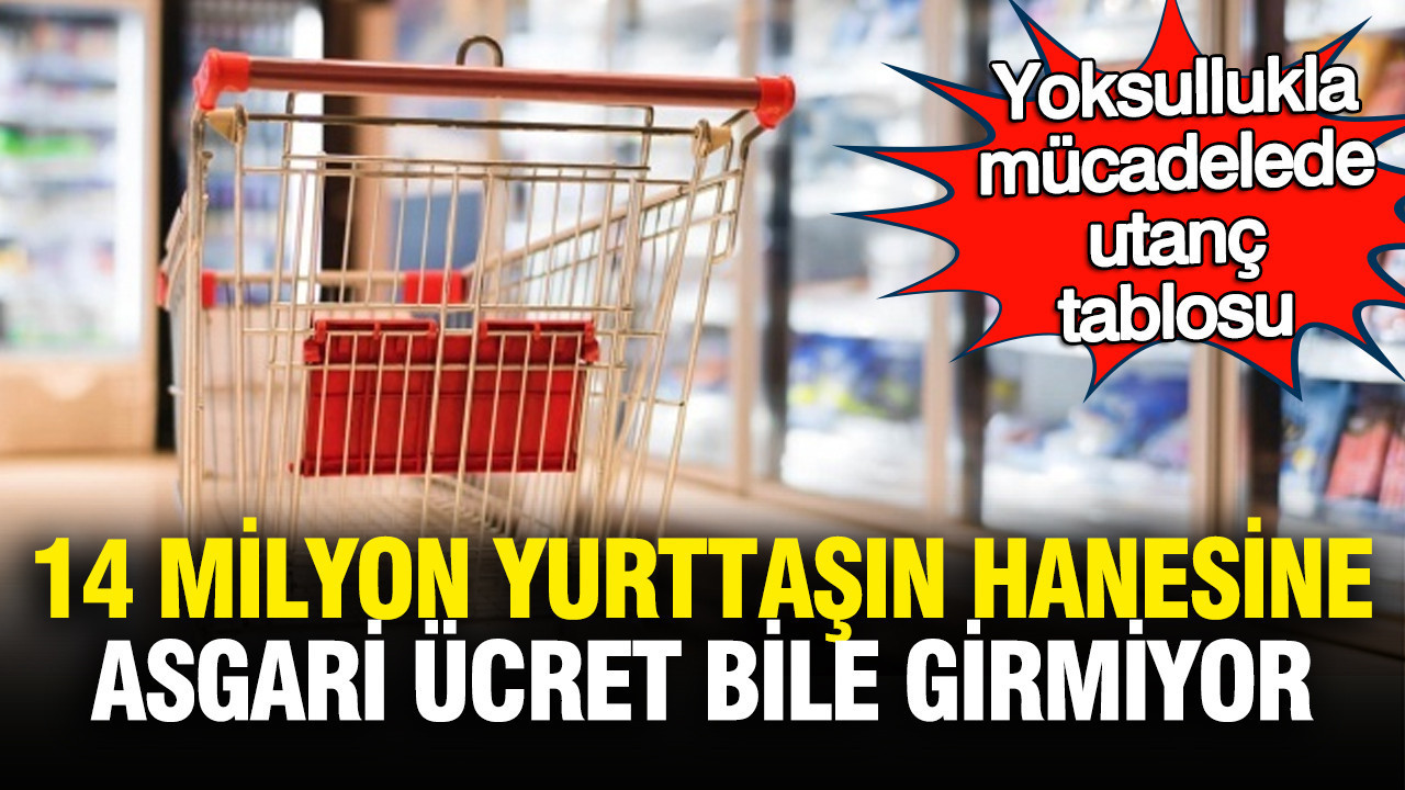 Ekonomik Krizin Gölgesinde Yoksulluk: 14 Milyon İnsan Asgari Ücretin Altında Yaşıyor**